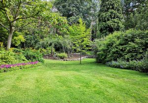 Optimiser l'expérience du jardin à Foucherans